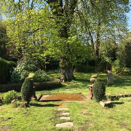 Le Petit Paradis Labastide-Rouairoux