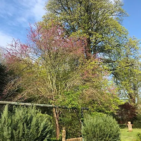 Le Petit Paradis Labastide-Rouairoux
