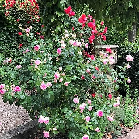 Le Petit Paradis Frühstückspension 3*